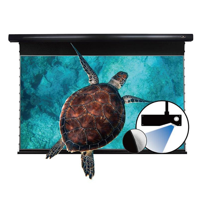 [Ceiling Down More Options] PRO A Slimline/ PRO P Slimline / PRO PA Slimline - VIVIDSTORM Motorized [Contact Seller]
