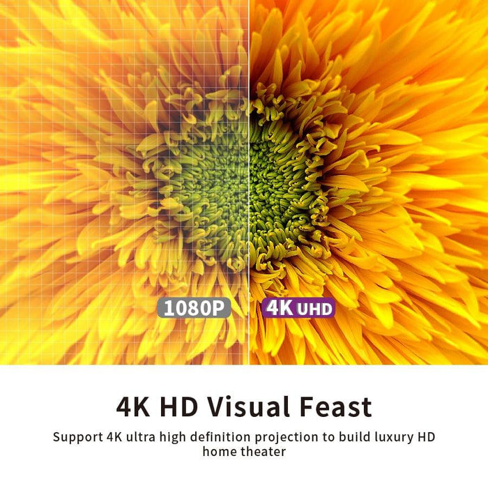 [Obsidian Long Throw ALR] [ Ceiling Down] VIVIDSTORM ALR Slimline Motorized Tension Projector screen